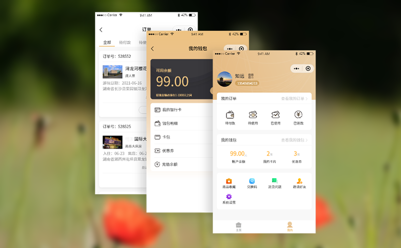 多种检票介质支持的景区票务系统，提升游客体验与管理效率