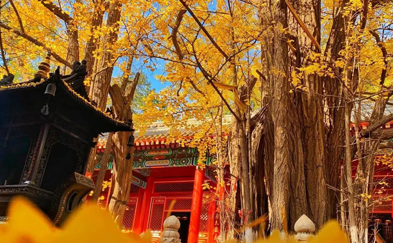 易景通科技助力寺庙门票系统升级，让古寺焕发新活力