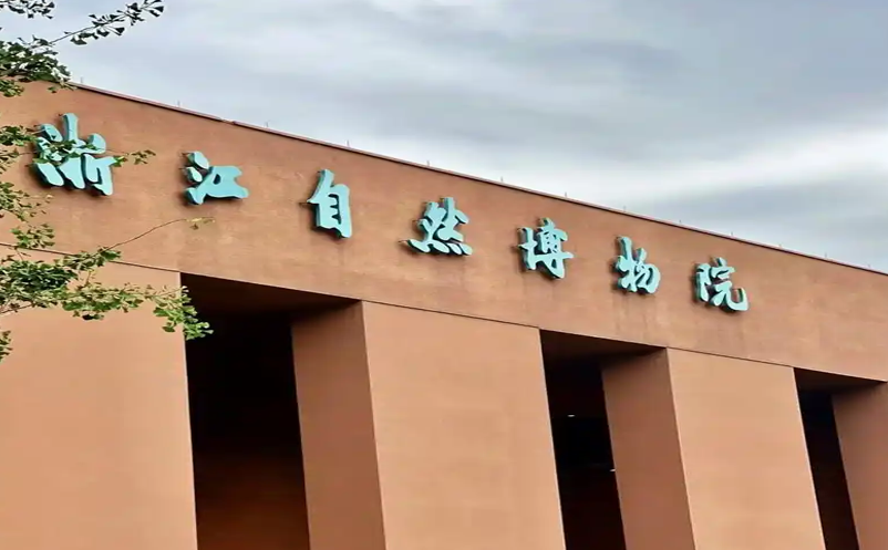 博物馆检票系统客流高峰时的检票预案