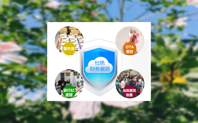 售票服务软件在提升景区票务管理效率方面的实践