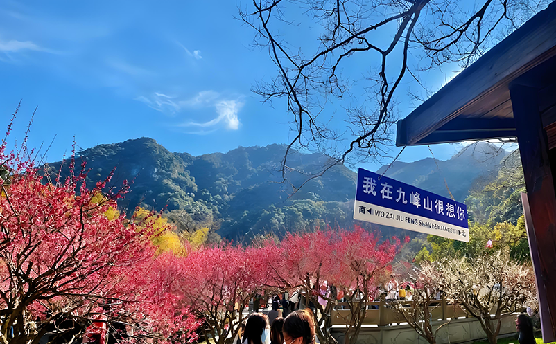 当AI遇上票务：景区自助售取票系统中的人脸识别与行为分析