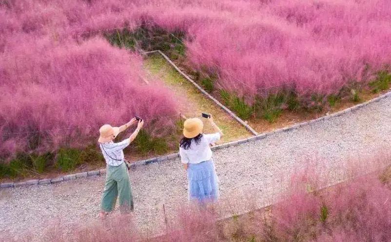 如何打造网红旅游景区（旅游IP打造） 