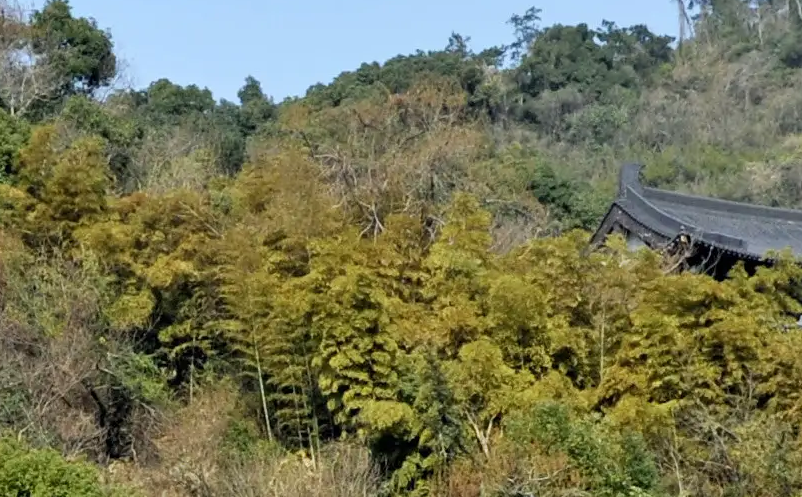 旅游景区门票经济的表现特征