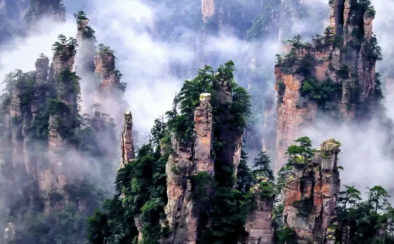 旅游景区利用抖音短视频营销的成功案例 