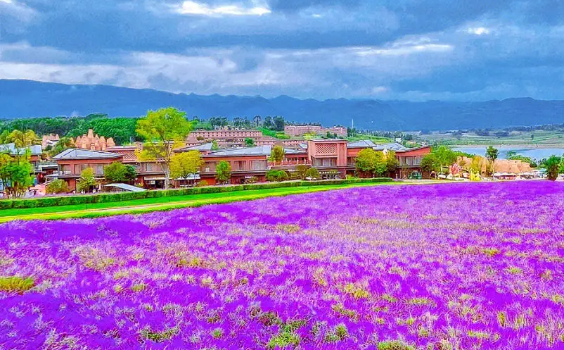 景区门票销售混乱怎么办？试试易景通景区票务系统