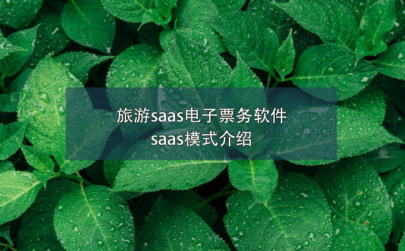 旅游saas电子票务软件，saas模式介绍