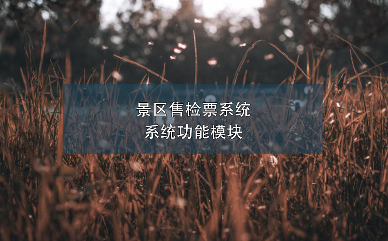 景区售检票系统:系统功能模块