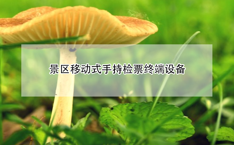 景区移动式手持检票终端设备 