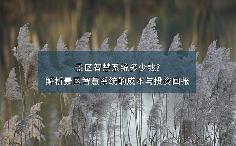 景区智慧系统多少钱?解析景区智慧系统的成本与投资回报