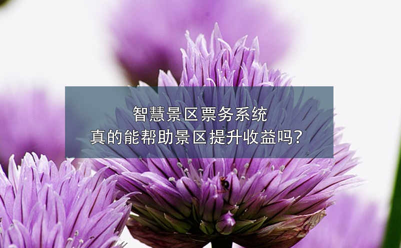 智慧景区票务系统真的能帮助景区提升收益吗？