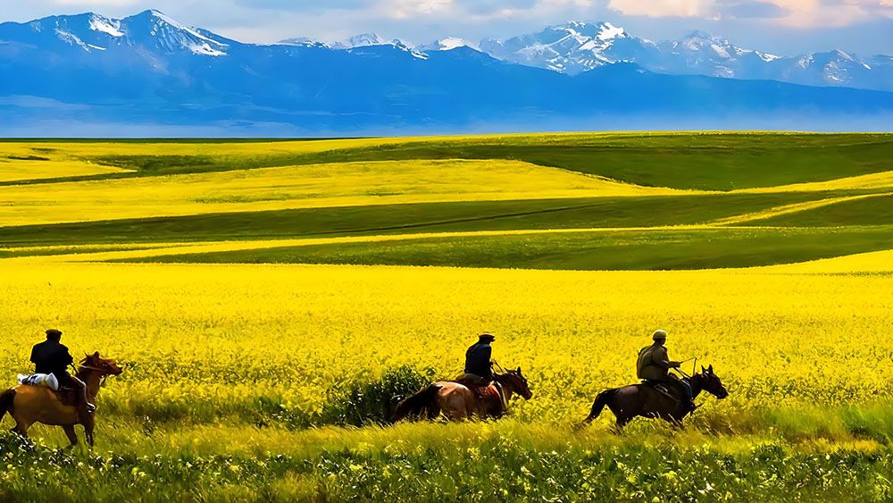 昭苏天马文化园和易景通景区票务系统达成合作协议 