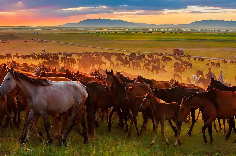 昭苏天马文化园和易景通景区票务系统达成合作协议 