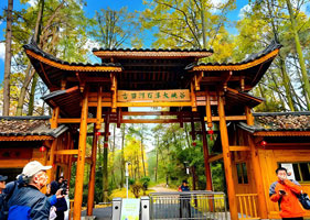 古苗河大峡谷携手易景通票务系统，共筑智慧旅游新篇章