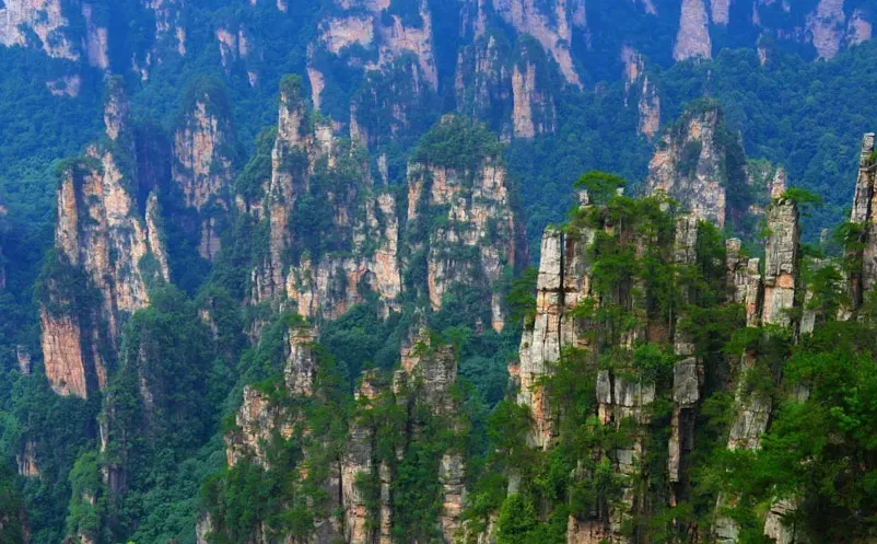 天子山景区应用易景通智慧票务系统方案,一台闸机,五种核验方式 天子山景区应用易景通智慧票务系统方案,一台闸机,五种核验方式